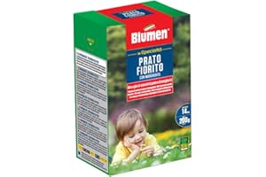 Prato Fiorito con Margherite Blumen 200gr