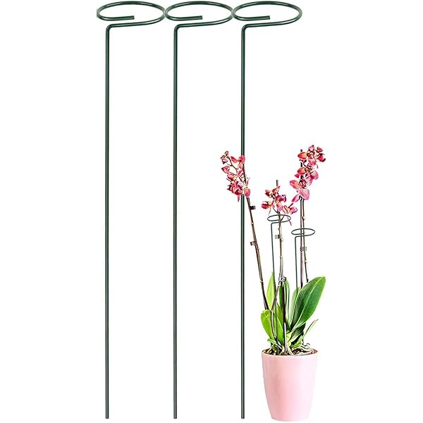 6er-Set Pflanzenstützen Aus Metall – 40 Cm Hoch, Grün, Für Pfingstrosen, Tomaten & Mehr