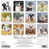 Image de What Dogs Teach Us 2017 Calendar