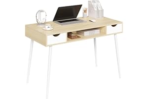 WOLTU Scrivania con 2 Cassetti, 120x60cm, Moderna per Computer Scrivania in Legno, Tavolo Porta PC da Ufficio Studio Camera da Letto, Legno