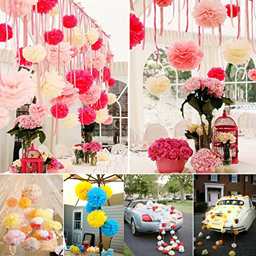 ZeWoo Set von 16 Stück Seidenpapier PomPons für Hochzeit Party Papierblumen Deko, 8″, 10″ - 7
