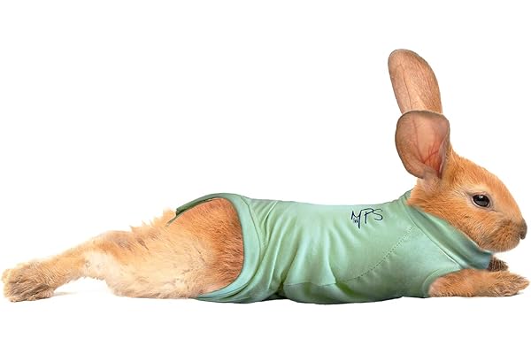 MPS Medical Pet Shirt pour Lapin, Vert, XXS