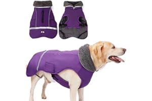 JRANTER Waterproof Windproof Dog Cold Weather Coats-Warm Dog Clothes Clothing Jackets for Small Large Medium Girl Boy Outdoor Indoor Activities (purple, XX-Large)