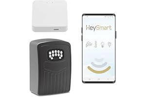 iSnatch Hey Box Cassetta di sicurezza Smart Wi-Fi a batterie, portaoggetti antivandalo con password, mini cassaforte per chiavi in metallo