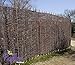 Produktbild Primrose Flechtzaun aus Weidenmatte 1.8 m