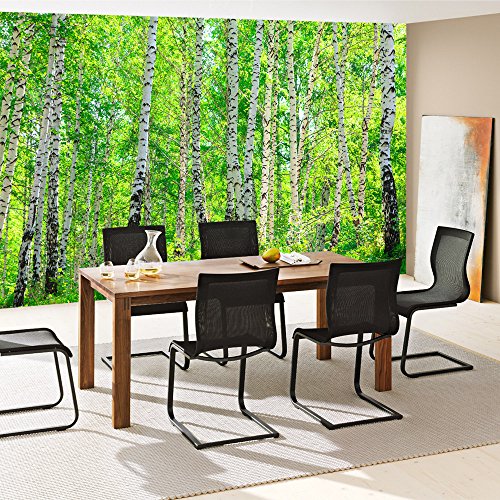 Fototapete Wald – ALLE WALDMOTIVE auf einen Blick ! Vlies PREMIUM PLUS – 200×140 cm – BIRCH FOREST – Birkenwald Bäume Wald Sonne Birkenhain Birke Birken Gras Natur Baum – no. 007 - 7