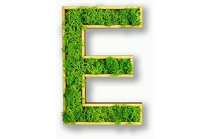 ‎MOOSLY Moosly® Moosbild - E - mit Rahmen aus Holz, Moos Deko Buchstaben Zeichen Symbol Zahl Holzbuchstabe mit echtem Islandmoos Wandtattoo Wandsticker Wandbild selbstklebend Wohnzimmer (106 E)