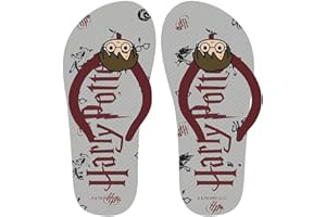 CERDÁ LIFE'S LITTLE MOMENTS - Chancla Infantil para Unisex Estampada con Harry Potter y sujección extra en el talón de Verano Suela de Goma EVA - Licencia Oficial Warner Bros
