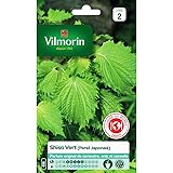 Vilmorin - Pacchetto di semi di Shiso verde (prezzemolo giapponese)