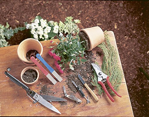 DMT Dia-Sharp Mini-Hone Kit, Diamantschärfer Set 3-teilig in 3 Körnungen, 6,35 cm / 2.5 Zoll, 1 Stück, D2K - 3