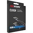 Hikvision E100N Internal SSD 256GB M.2 2280 Interface SATA III Protocol up to 550MB/s