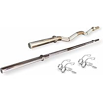 LEEWAY Weight Plates (20kg x 2) | 31mm Dia | Metal Integrated