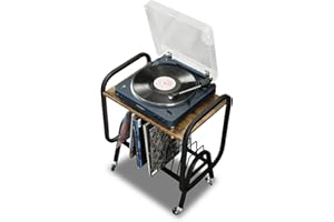 Erwoullt Wooden Record Player Stand with Shelf & Wheels, 2 Tiers Vinyl Player Cabinet, Record Player Table and Vinyl Storage Units with Handle for Living Room Bedroom Office