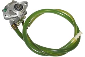 P2R (motorisiert) Ölpumpe Scooter, anpassbar, Piaggio 50 Zip 2T, Typhoon, NRG, Liberty 2T-Gilera 50 Stalker, Runner