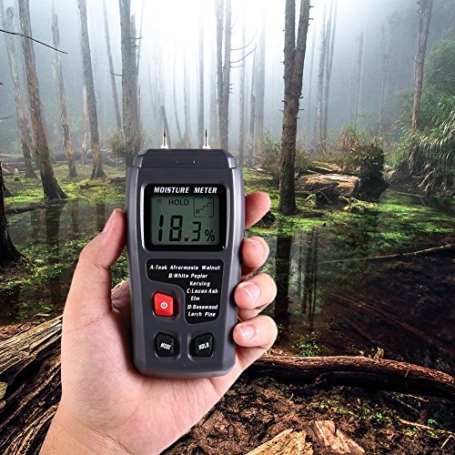 Digital Moisture Meter 2 Stifte Sensor Wasser Lecksucher mit Digital Liquid Crystal Display Bereich 0% bis 99,9% für Holz