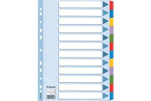 Esselte Divisori per Raccoglitori con 12 Tasti, Formato A4, Blu/Multicolore, Cartoncino Robusto Riciclato, 12 Tasti con Pagina Indice, 100169