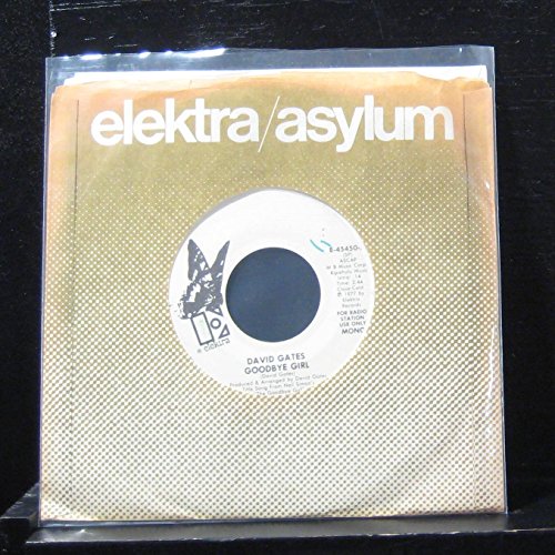 Preisvergleich Produktbild Goodbye Girl / Sunday Rider [Vinyl Single 7'']