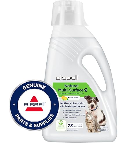 BISSELL ProHeat 2x Lift-Off - Nettoyeur De Tapisserie Et Oquettes Avec