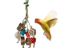 WOGENTHRIVE Budgie Toys, Parrot Toys, Bird Swing Chew Toys，Budgie Toys and Accessories，Bird Toys Suitable for Small and Medium-sized Birds Such as Cockatiels/Peony Parrots/Budgies