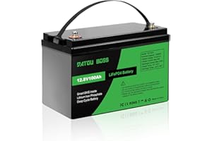 DATOUBOSS Batería Litio 12V 100Ah Lifepo4 con Protección 100A BMS, Hasta 15000 Ciclos y 10 Años de Vida, Bateria de Litio 12.8V 100Ah para Camping Autocaravana, Sistema Placa Solar, Barco, Hogar