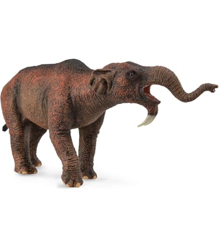 Collecta