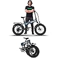 EMotorad Doodle Pro Fat-Tire Foldable Electric Mountain Bike – 250W Rear Hub Motor, 12.75Ah Removable Li-ion Battery, C6+ Display, Front/Rear Lights with Side Indicators