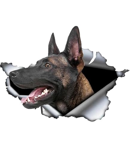Autocollant 3D Rottweiler - Effet Percé, Imperméable Réfléchissant, Pour Voiture, Ordinateur, Frigo (15 Cm)