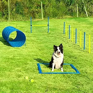 Sowsun Dog Agility Equipment, Outdoor Games Exercise Training Ostacle Couse Hurdles for Jumping Practice, Agility Starter Kit with Carrying Case