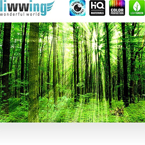 Fototapete Wald – ALLE WALDMOTIVE auf einen Blick ! Vlies PREMIUM PLUS – 200×140 cm – SUNLIGHT FOREST – Wald Bäume Sonnenstrahlen grün Ruhe – no. 061 - 2