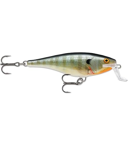 Rapala - Esca da Pesca Artificiale Spinning Skitter Pop - Esca di Simulazione per Pesca in Acqua Dolce
