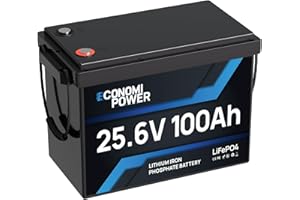 EconomiPower Mini LiFePO4 100Ah 24V Battery, 2560Wh Lithium Battery with 100A BMS, 8000+ Deep Charging Cycles, Perfect for Motorhomes, Vans, Trolling Motor, Boats and Solar Home Systems