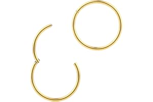 365 Sleepers G23 Titanio Unisex Septum Tragus Helix Segmento con bisagras Nariz Labio Anillo Pendientes de aro Joyería piercing del cuerpo 20G 18G 16G 14G 12G 10G 8G