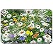 Produktbild Violetpos Fußmatte 50 x 80 cm Schmetterlinge Blume Fußmatten / Sauberlaufmatte für Innen & Außen