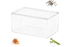 Spindelbur terrarium - 40 x 25 x 20 cm ventilerad akryl escape-beprövad livsmiljö | spindel bur böna manter inneslutning - för att böna mammor krabba gecko orm sköldpadda skäggig