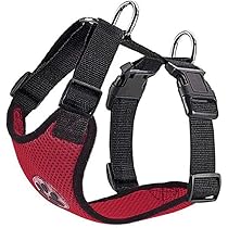 Imbracatura Per Cani SlowTon - Gilet Regolabile Traspirante Per Viaggi E Passeggiate - Foto 4