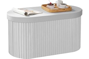 WOLTU Panca Contenitore, Cassapanca Contenitore Interno 76L, Poggiapiedi da Divano Pieghevole, Coperchio Rimovibile, per Soggiorno, Camera da Letto, 76x38x38cm, Grigio Chiaro
