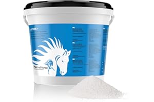 PharmaHorse L de lisina caballo 1000 gr.