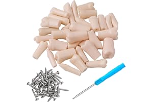 faruijie Dientes Typodont - para los dientes dentales Typodont modelo de dientes extraíbles uso para la práctica y la enseñanza (28)