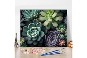 TISHIRON Malowanie według liczb, dla dorosłych początkujących, rośliny domowe, sukulenty, widok z góry, tablica kolorystyczna, rośliny, akwarele do dekoracji, 41 x 51 cm