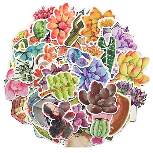 70Pcs Succulents Graffiti Stickers Waterproof Vinyls Decals for Laptop,Kids,Cars,Motorcycle,Bicycle,Skateboard,Luggage,Case