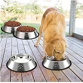 DUFFA Paslanmaz &Ccedil;elik Kedi Mama Ve Su Kabı, K&ouml;pek &Ccedil;elik Mama Kabı, Kaymaz Lastikli Taban, Dayanıklı Besleme Tası, Kolay Temiz