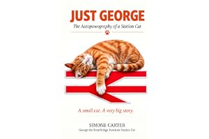 Just George: The story of The Stourbridge Junction Cat: The Autopawography of a Station Cat