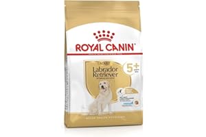 ROYAL CANIN - Croquettes Labrador Adulte 5+ - Sac De 12 Kg