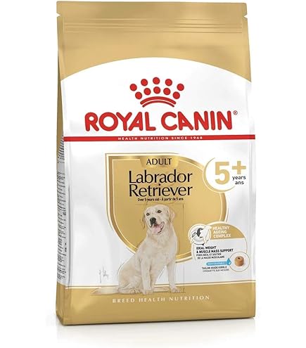 Royal Canin Dog Food Golden Retriever 25 Dry Mix 12kg : Amazon.co