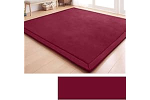 DSSHENGDS Tappeto in Velluto Corallo Morbido,Moderno, Lavabile, Perfetto per Yoga,Esercizio Fisico e Gattonare,Tappeto Salotto,Scendiletto per Bambini Tatami 2cm-N- 80 * 200cm