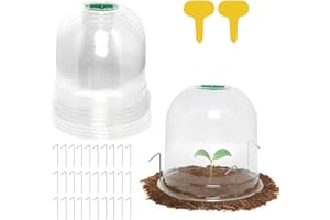 LATERN 10 Stück Gartenpflanzen-Cloche, 26cm x 20cm Wiederverwendbare Kunststoff-Mini-Gewächshaus-Glockenabdeckung zum Frostschutz – mit 16 Pflanzenetiketten, 30 Sicherungsstiften