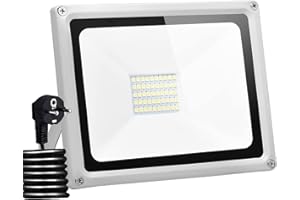 wowspeed Focos LED Exterior 100W, Proyector Foco LED Enchufe, 6500K Blanco Frío Luz de Seguridad, 10000LM Impermeables IP65 Foco Led, Luces Led Exterior para Jardín Terraza Garaje (100W, 1PC)