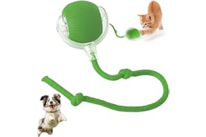 xinrongda Interactive Cat Toy Ball, Cat Toys For Indoor Cats Adult, 360°Smart Automatic Rolling Ball for Cats Dogs, USB Rechargeable Cat Toys, Moving Dog For Pets,Green