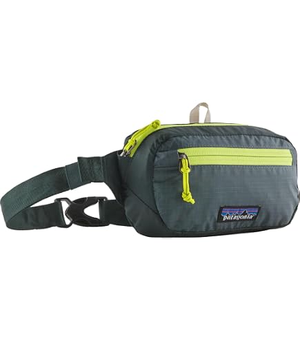 Patagonia, Ultralight Black Hole Mini Hip Pack 1L, Bum Bag, Black, All, Unisex Adult Sports & Outdoors
