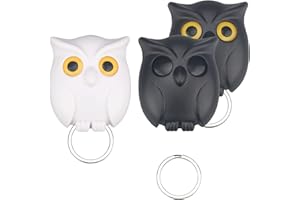 NTGRTY Búho Ganchos Llaveros, 2 piezas Gancho Llave Búho, Cuadro de llaves para montaje en pared para colgar llaves en la entrada de la oficina en casa